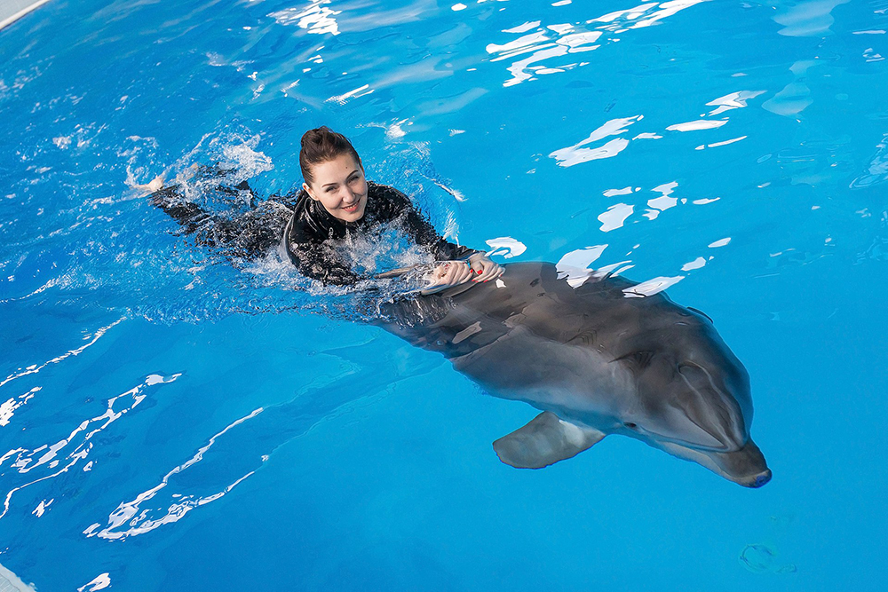 Плаване с дельфинами "Дельфиния"