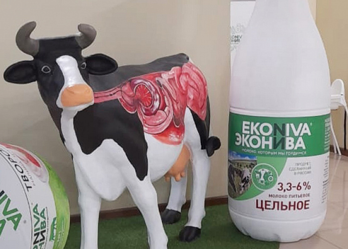 ЭкоНива: экскурсия на молочную ферму №4