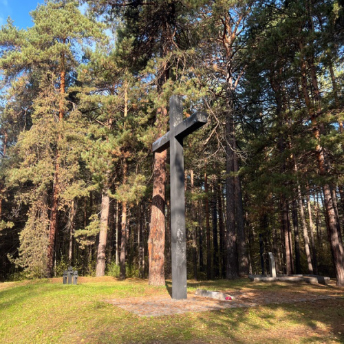 «Три кладбища: Немецких военнопленных, Инское, Южное»