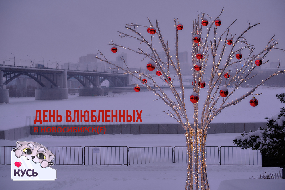 День влюбленных в Новосибирске 2024
