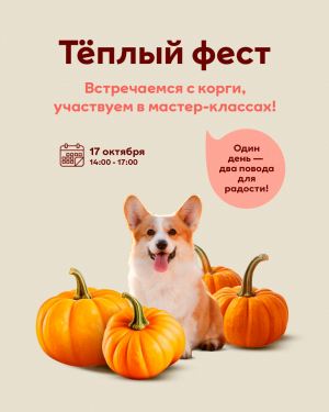 Теплый фест с корги в МЕГЕ