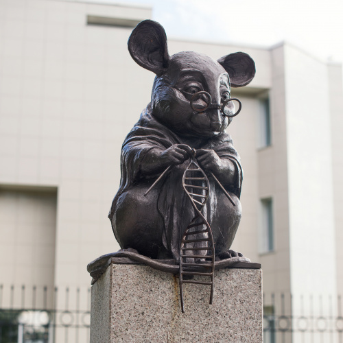 Памятник лабораторной мыши, вяжущей нить ДНК