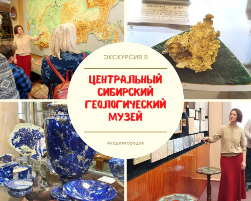Обзорная экскурсия по Академгородку с посещением геологического музея 