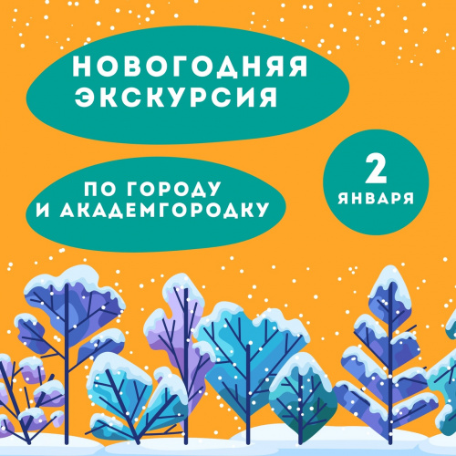 Новогодняя обзорная экскурсия по городу и Академгородку