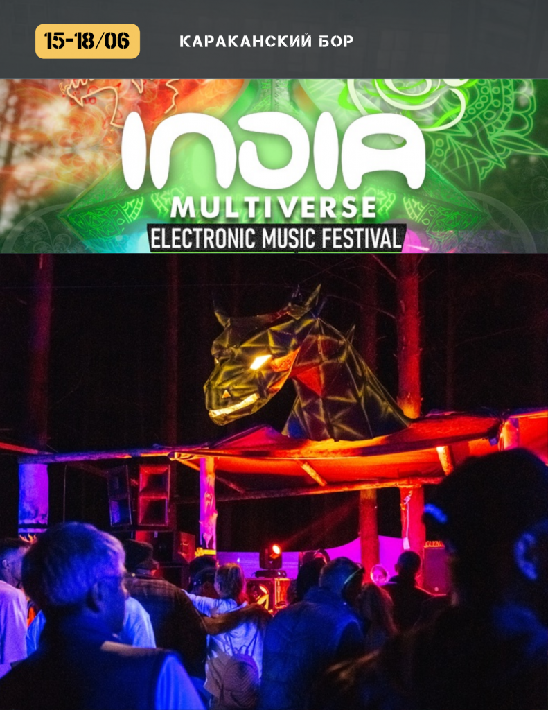 фестиваль электронной музыки Индия