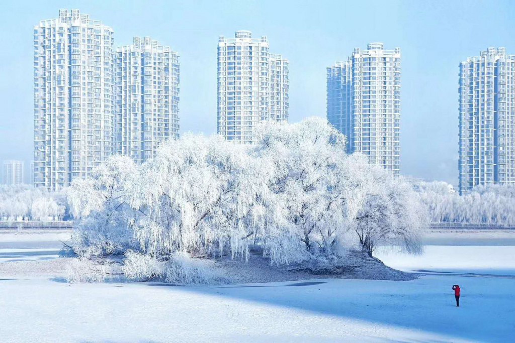 10. Winter Scenery in Shenyang.jpg