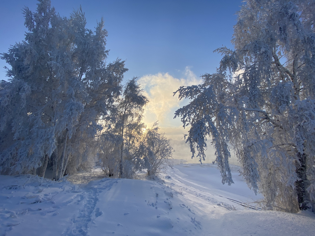 Конный остров Иркутск зимой