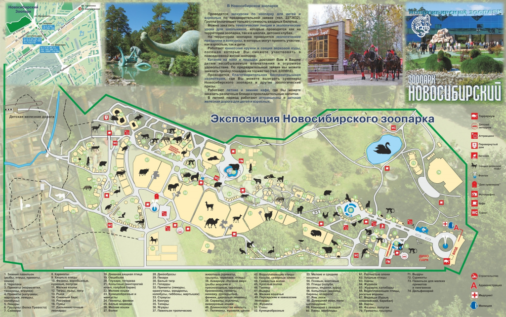 карта новосибирского зоопарка 