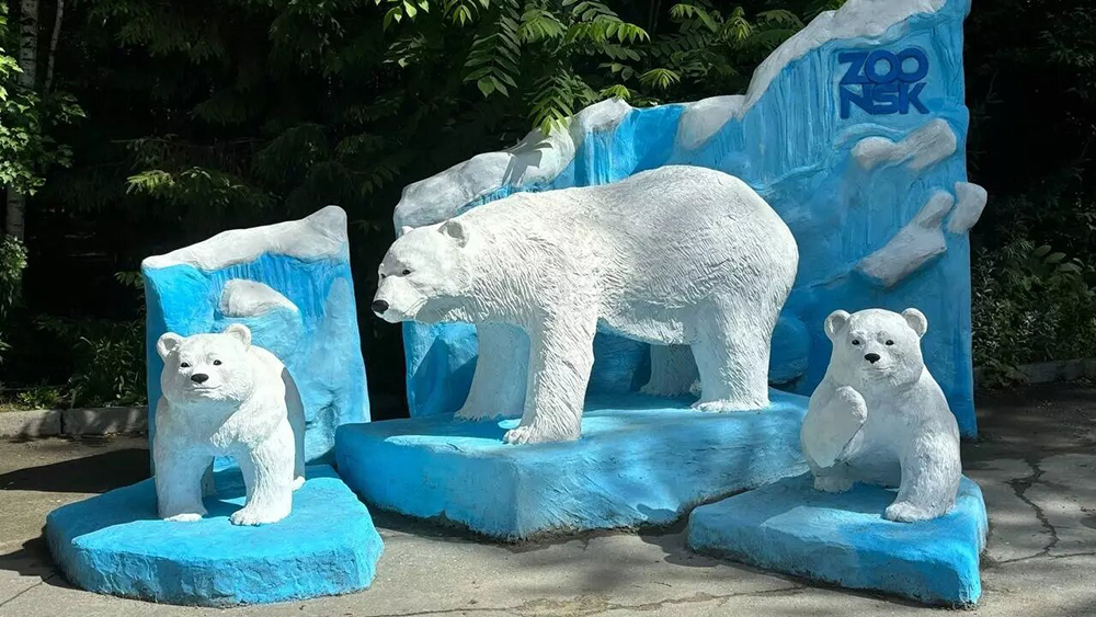 Белые медведи в Новосибирском зоопарке