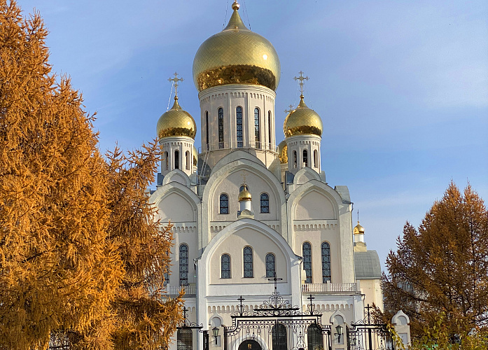 Троице-Владимирский собор №3