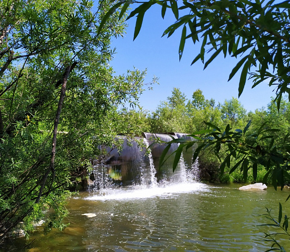 Легостаевский заказник