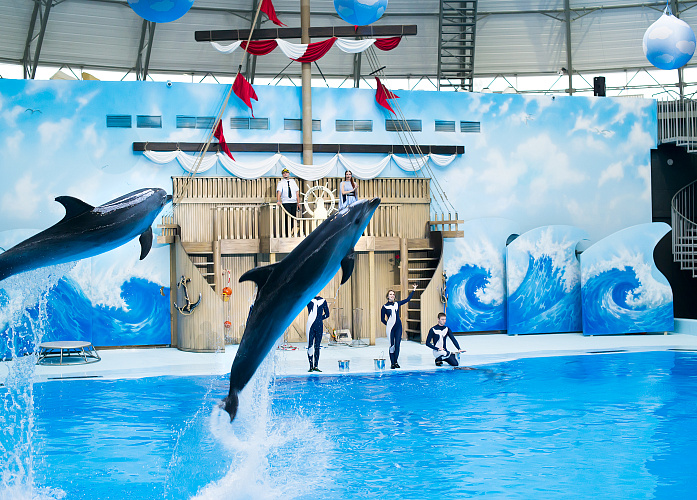 Шоу с дельфинами в центре «Дельфиния» №3