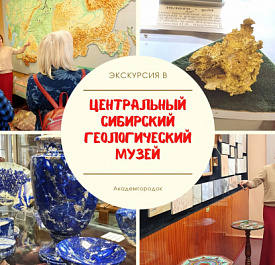 Обзорная экскурсия по Академгородку и геологический музей