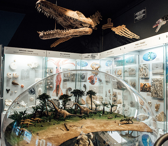 Музей эволюции земли в НГУ