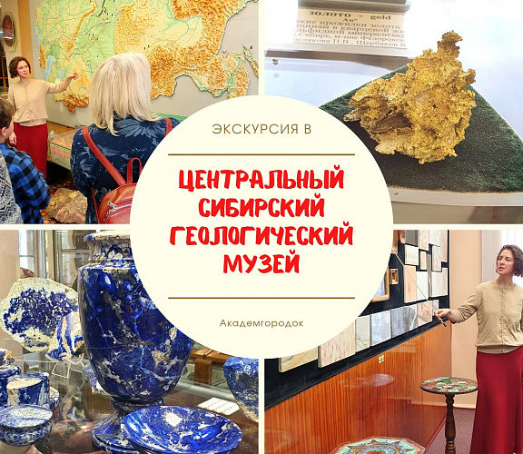 Обзорная экскурсия по Академгородку и геологический музей